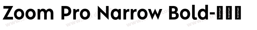 Zoom Pro Narrow Bold字体转换